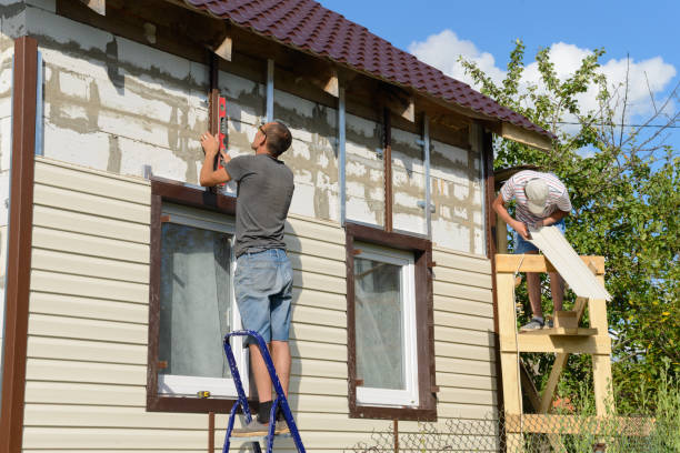 Best Custom Trim and Detailing for Siding  in Creedmoor, NC